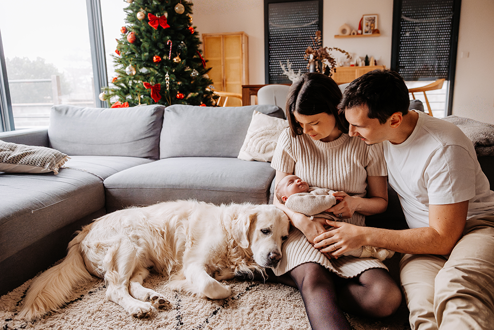 Photographe naissance Charlieu